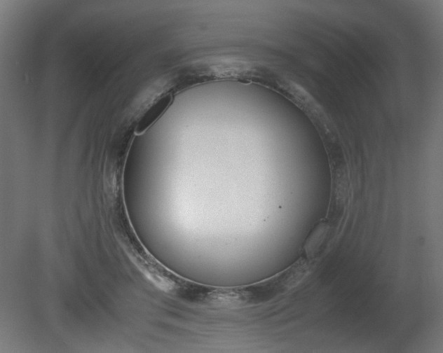 X0000081270405200701181722