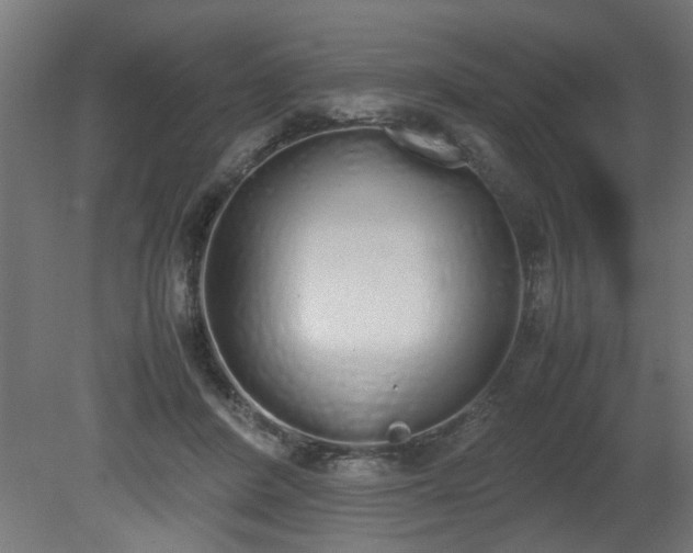 X0000081270408200701181722