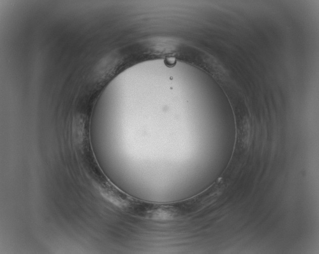 X0000081270412200701181722