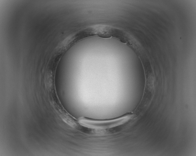 X0000081270413200701181722