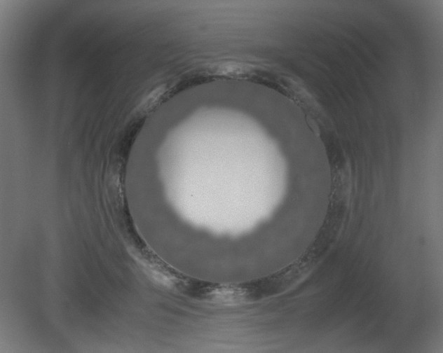X0000081270415200701181722