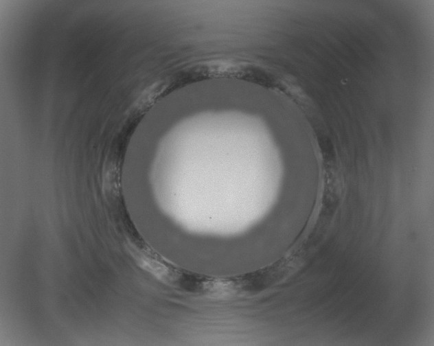 X0000081270419200701181722