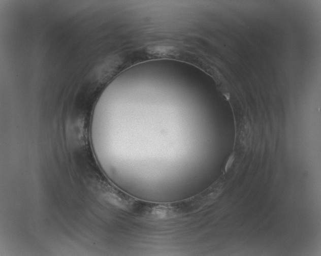 X0000081270420200701181722