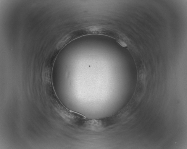 X0000081270421200701181722