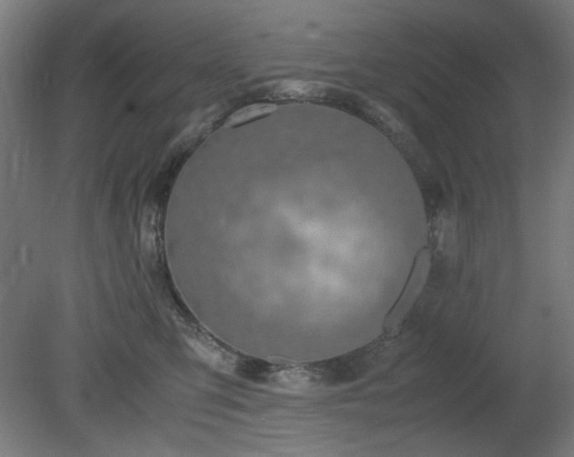 X0000081270423200701181722