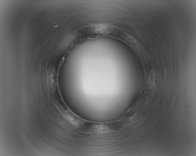 X0000081270424200701181722
