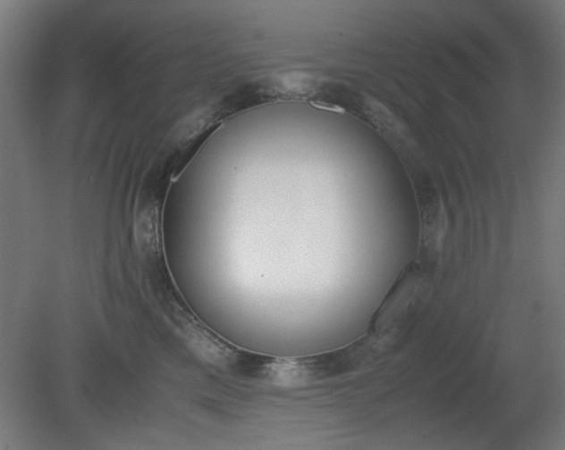 X0000081270425200701181722