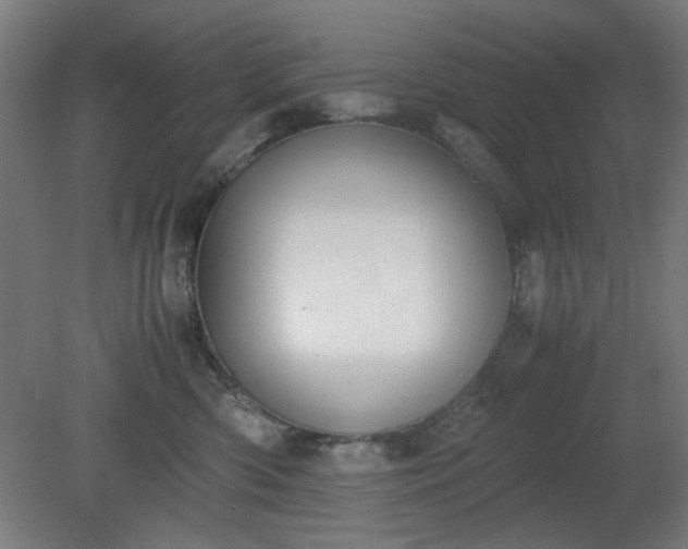 X0000081270426200701181722