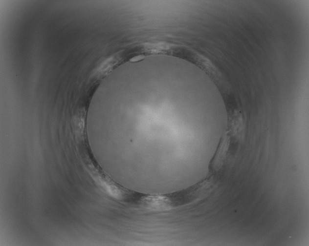 X0000081270427200701181722