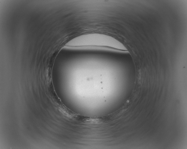 X0000081270428200701181722