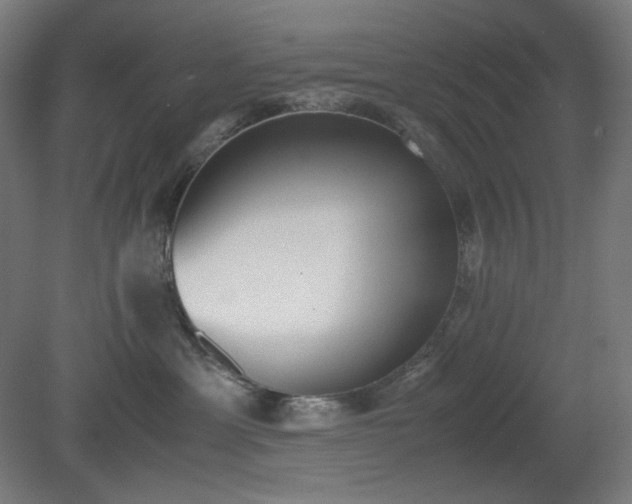 X0000081270429200701181722