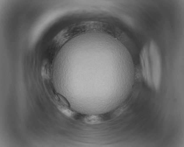 X0000081270431200701181722