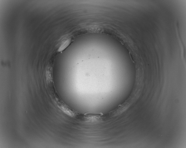 X0000081270432200701181722
