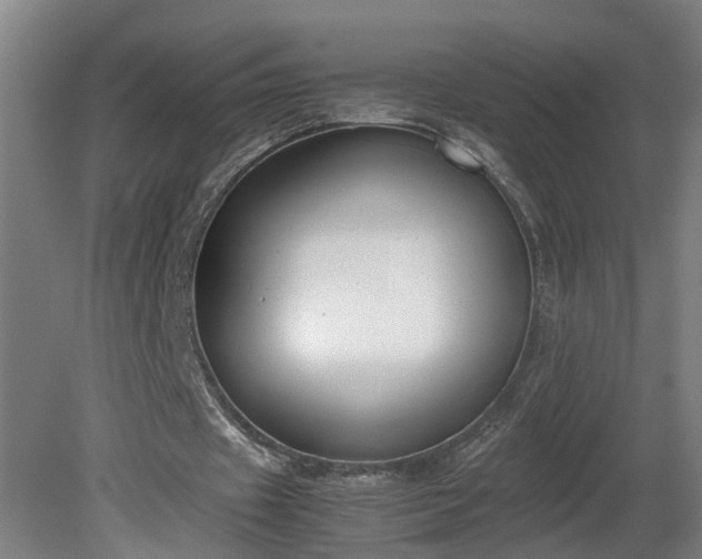 X0000081270433200701181721