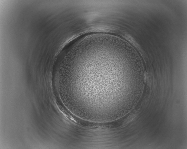 X0000081270434200701181721