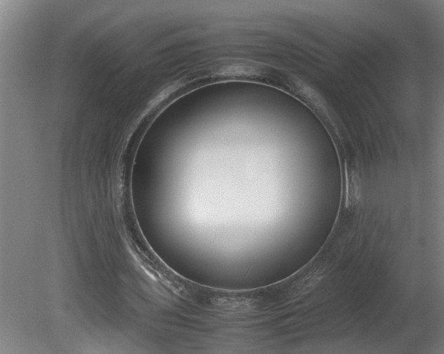 X0000081270435200701181721