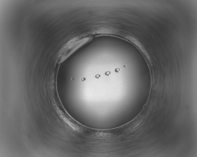 X0000081270437200701181721