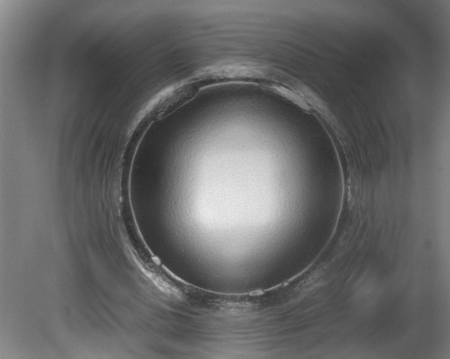 X0000081270438200701181721