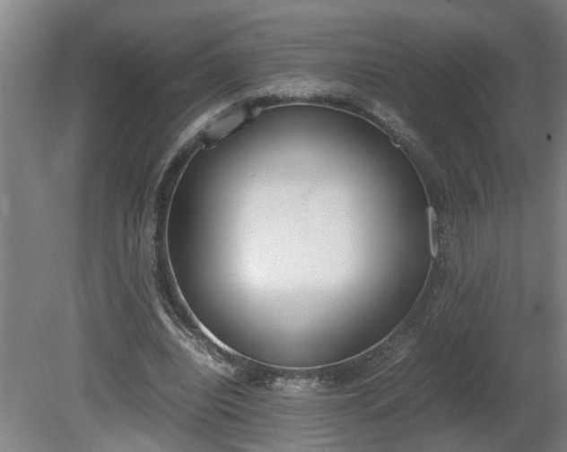 X0000081270440200701181721