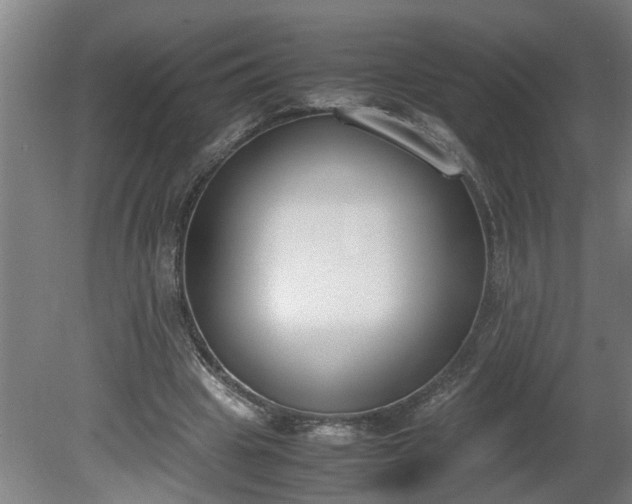 X0000081270441200701181721
