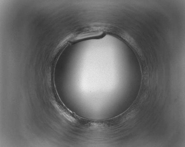 X0000081270442200701181721