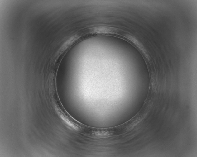 X0000081270445200701181721