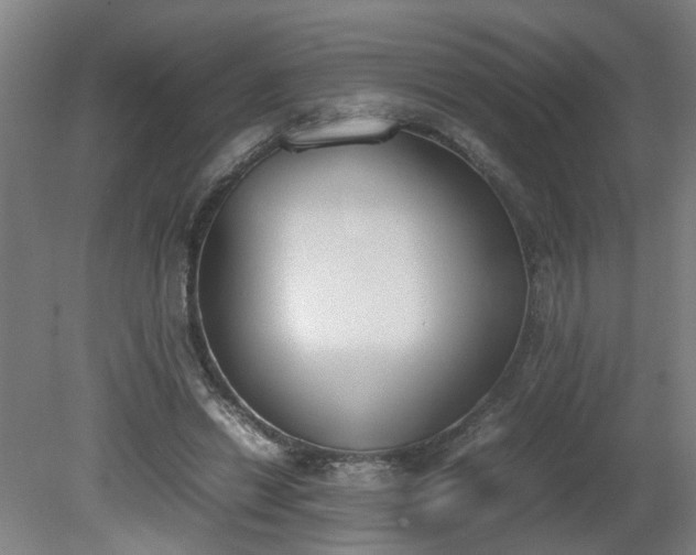X0000081270446200701181721