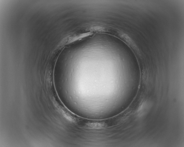 X0000081270449200701181721