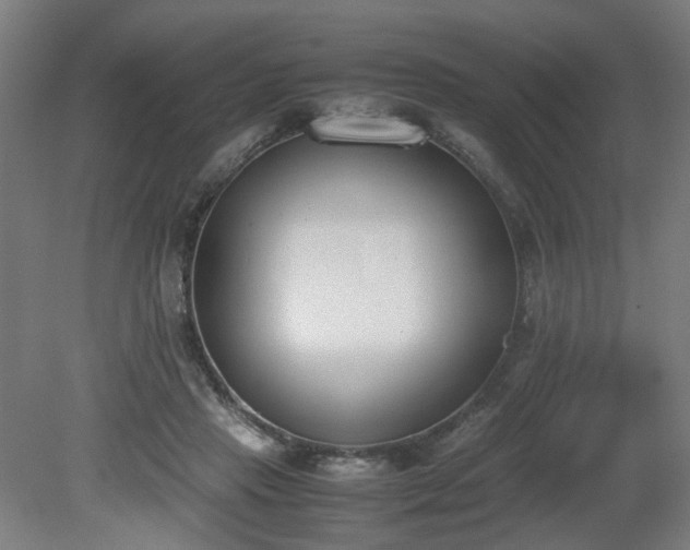 X0000081270453200701181721