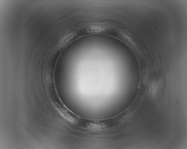 X0000081270455200701181721