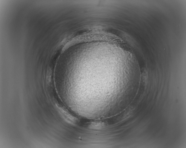 X0000081270458200701181721