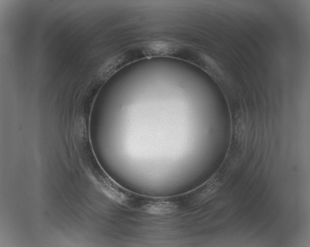 X0000081270459200701181721