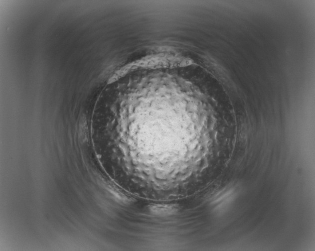 X0000081270465200701181721