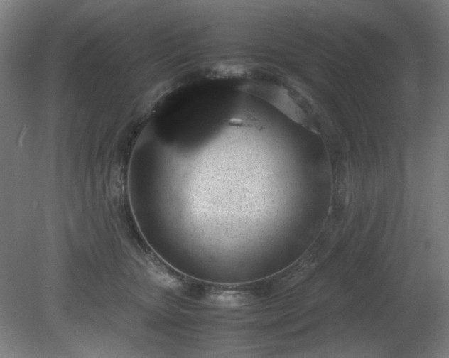 X0000081270467200701181721