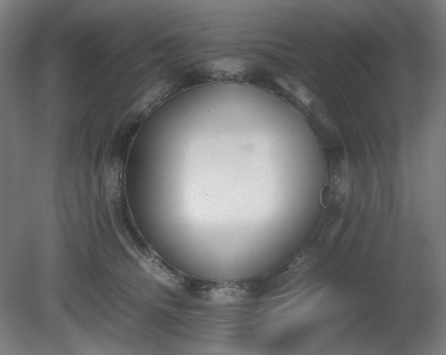 X0000081270468200701181721