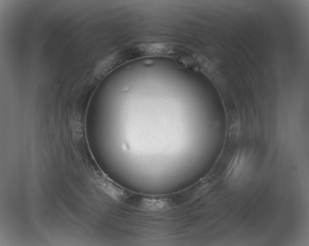 X0000081270469200701181721