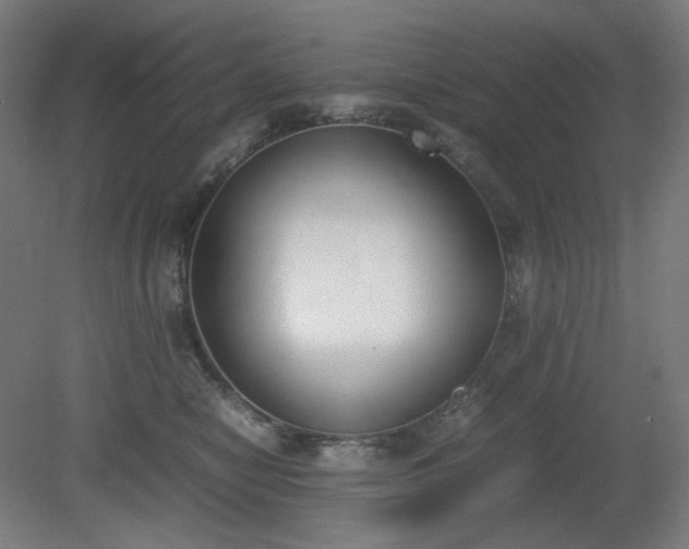 X0000081270470200701181721