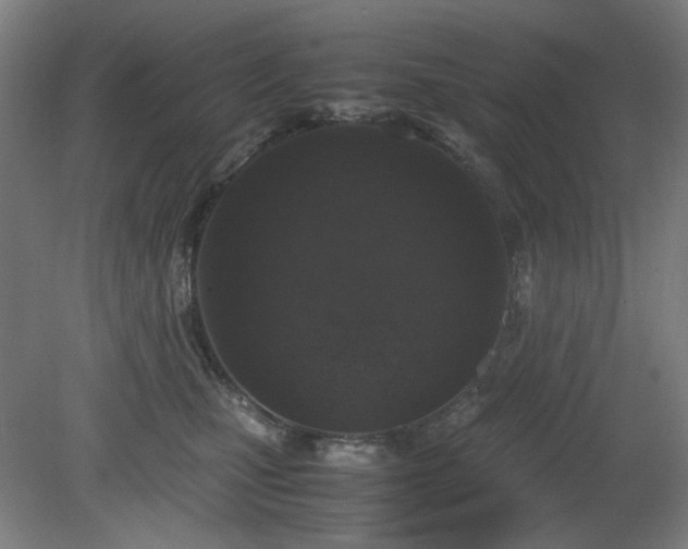 X0000081270471200701181721
