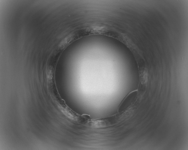 X0000081270472200701181721