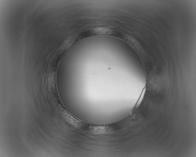 X0000081270473200701181721