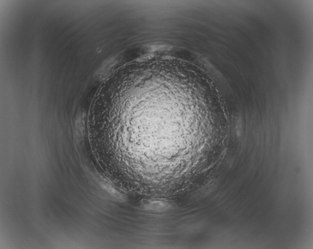 X0000081270475200701181721