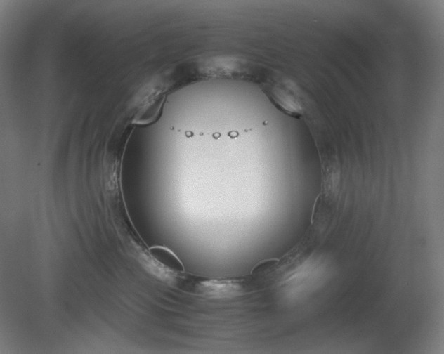 X0000081270477200701181722