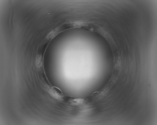 X0000081270478200701181722