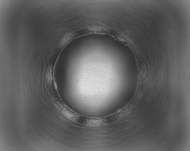 X0000081270479200701181722