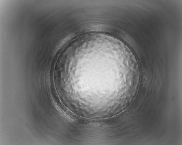 X0000081270482200701181721