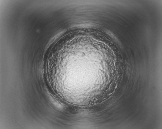 X0000081270486200701181721