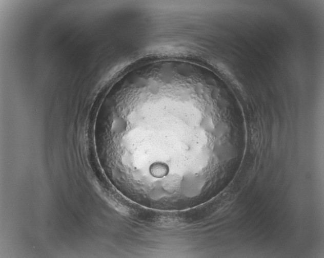 X0000081270487200701181721