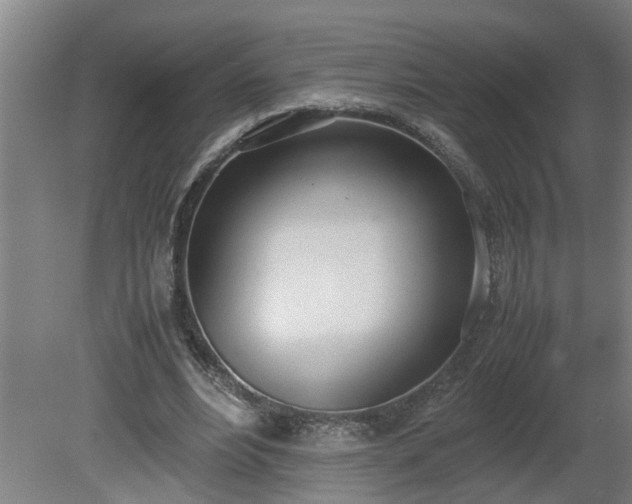 X0000081270488200701181721
