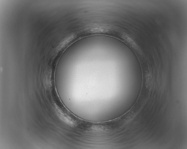 X0000081270490200701181721