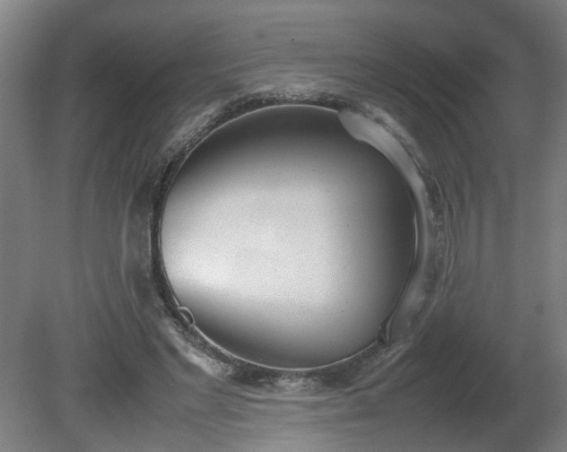 X0000081270493200701181721